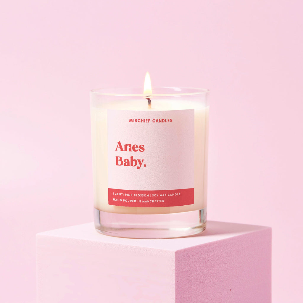 Aries Birthday Gift Funny Zodiac Candle Aries Baby