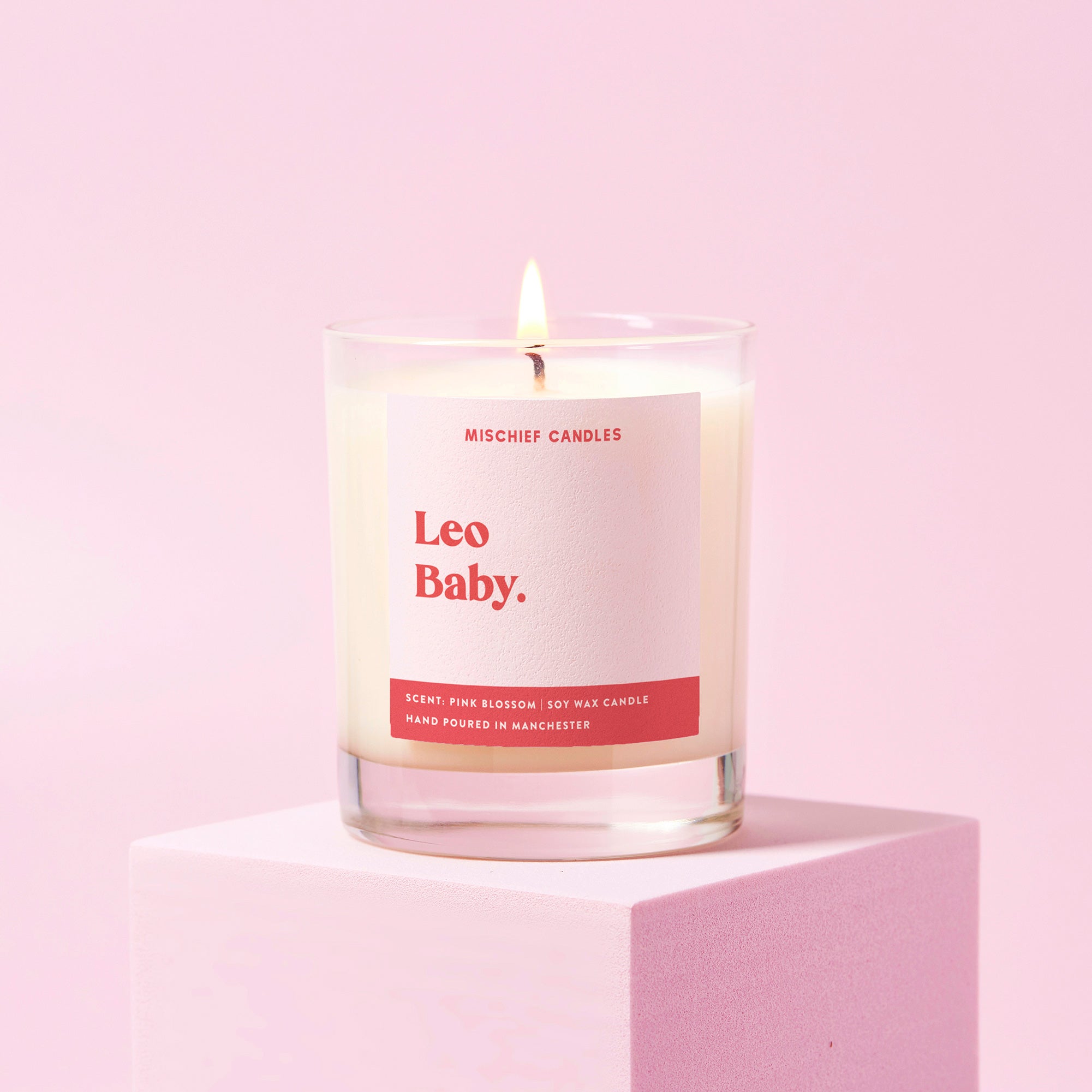 Leo Birthday Gift Funny Zodiac Birthday Candle Leo Baby