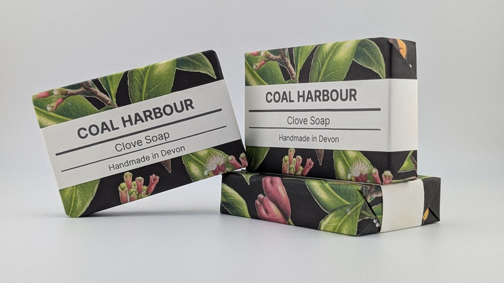 Clove 100g Soap Bar