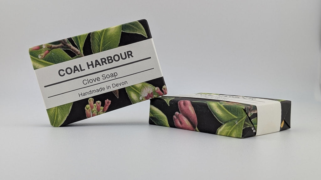 Clove 100g Soap Bar