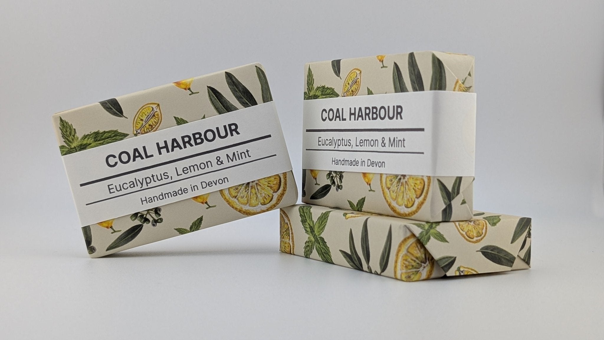 Eucalyptus, Lemon & Mint 100g Soap Bar