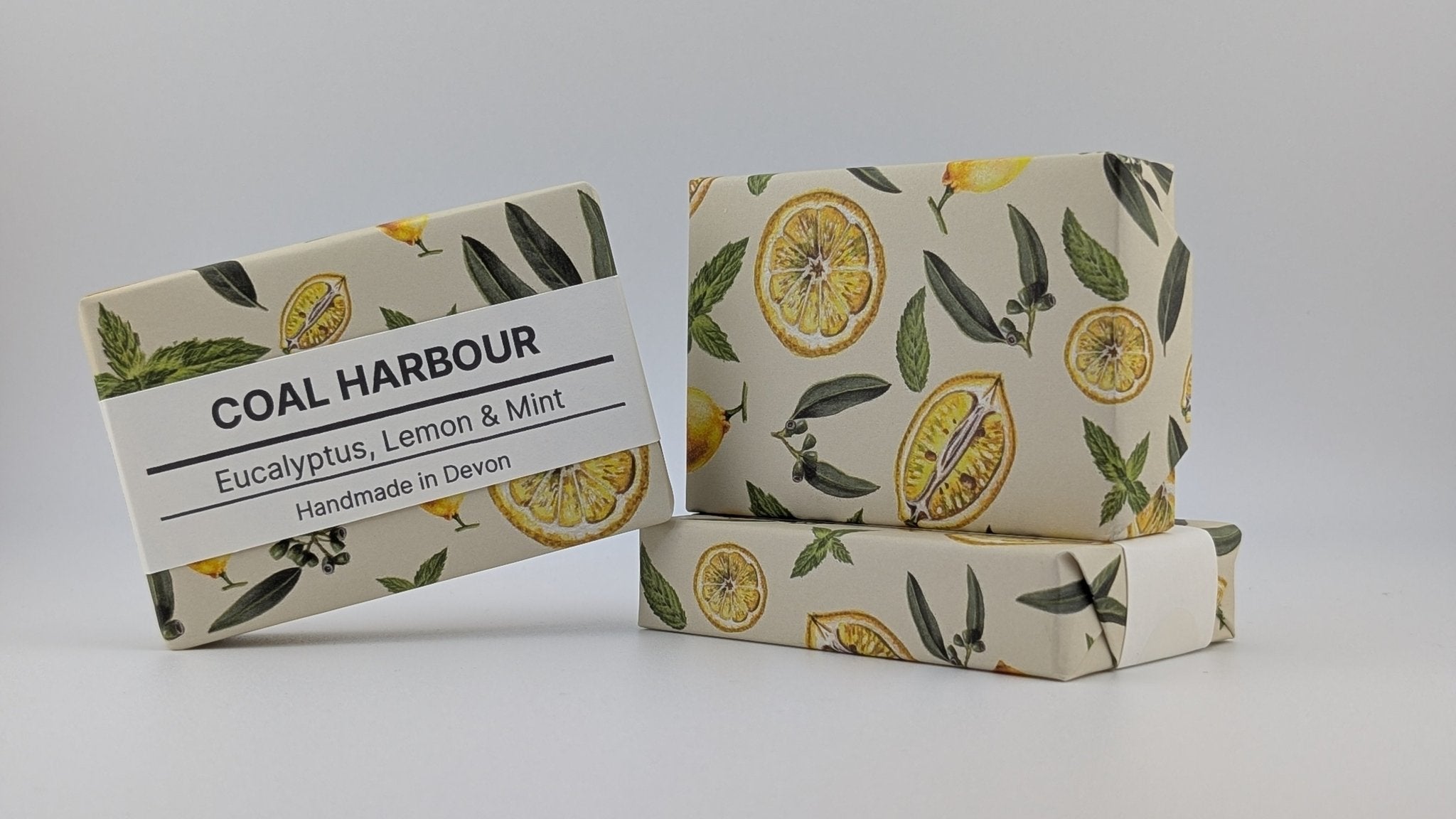Eucalyptus, Lemon & Mint 100g Soap Bar