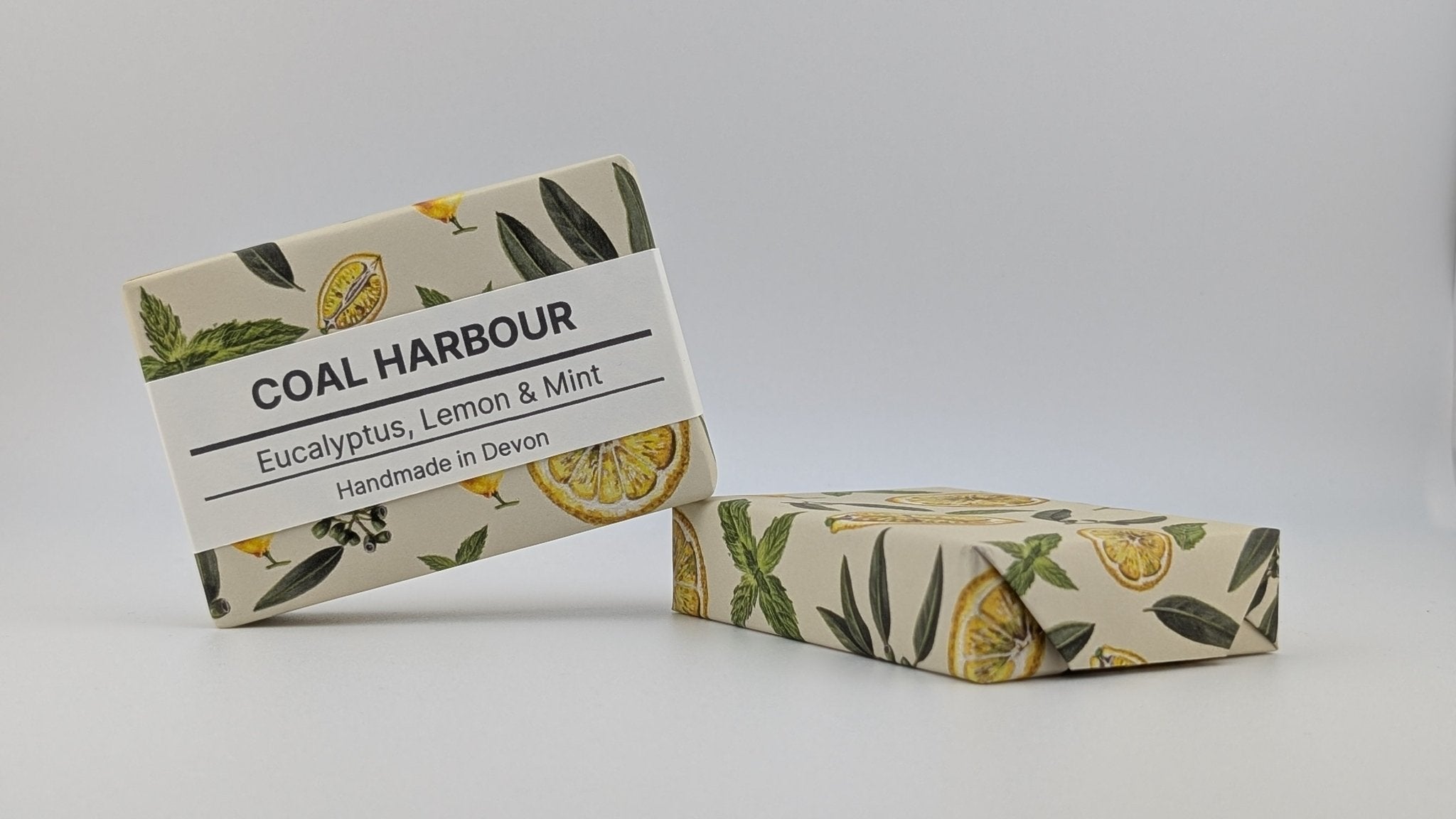 Eucalyptus, Lemon & Mint 100g Soap Bar