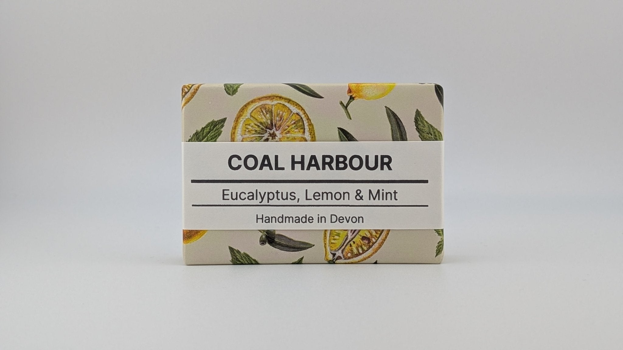 Eucalyptus, Lemon & Mint 100g Soap Bar