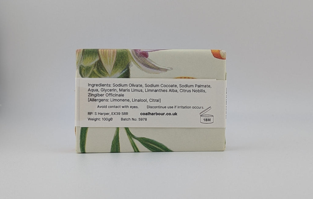 Ginger, Mandarin & Dead Sea Mud 100g Soap Bar